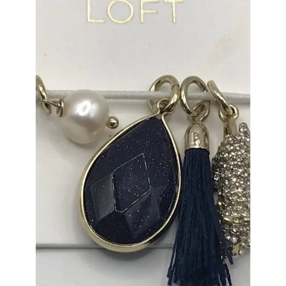 Ann Taylor Loft‎ Charms Tassel pave Black crystal Leopard NWT set of 4
